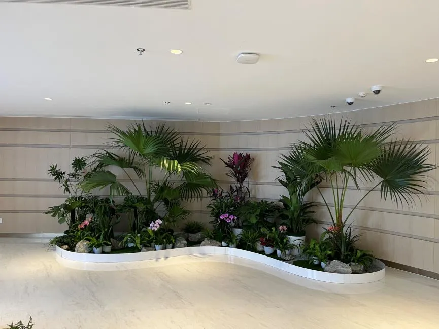 余姚绿化修剪公司：专业技艺，为城市绘就绿色新画卷